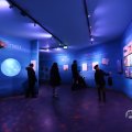 IMG_1680594