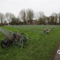 IMG_1680631