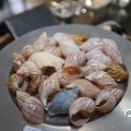 IMG_1682208
