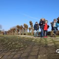 IMG_1684941
