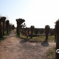 IMG_1684950