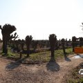 IMG_1684951