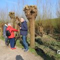 IMG_1684956