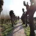 IMG_1684959