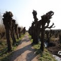 IMG_1684960
