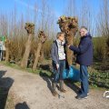 IMG_1684966