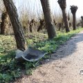 IMG_1684973