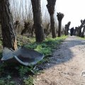 IMG_1684974