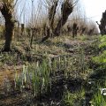 IMG_1684980