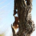 IMG_1684983
