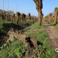 IMG_1684994