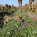 IMG_1684997