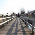 IMG_1685001