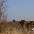 IMG_1685004