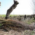 IMG_1685016
