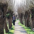 IMG_1685021