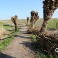IMG_1685024