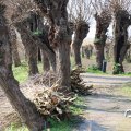 IMG_1685027