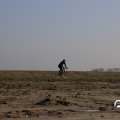 IMG_1685029