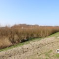 IMG_1685032
