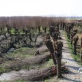 IMG_1685040
