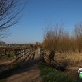 IMG_1685043
