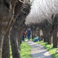 IMG_1685048