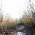 IMG_1685080