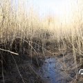 IMG_1685082