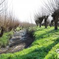 IMG_1685090