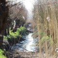 IMG_1685092