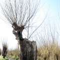IMG_1685094