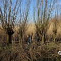 IMG_1685105