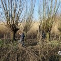 IMG_1685106