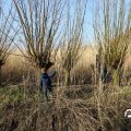 IMG_1685107