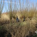 IMG_1685112