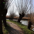 IMG_1685114