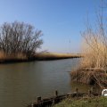 IMG_1685117