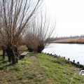 IMG_1685118