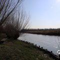 IMG_1685120