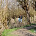 IMG_1685121