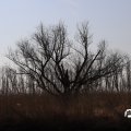 IMG_1685123