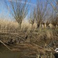 IMG_1685124