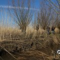 IMG_1685125