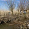 IMG_1685126