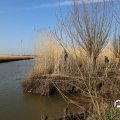 IMG_1685128