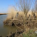 IMG_1685129