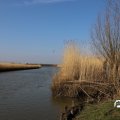 IMG_1685130