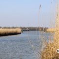 IMG_1685131