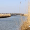 IMG_1685132